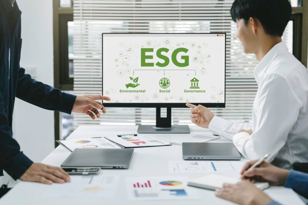 ESG Advisory Services